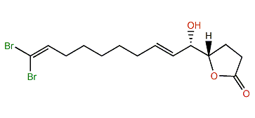 Xestospongiene I